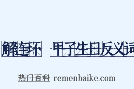 解连环·甲子生日反义词是什么意思的图片